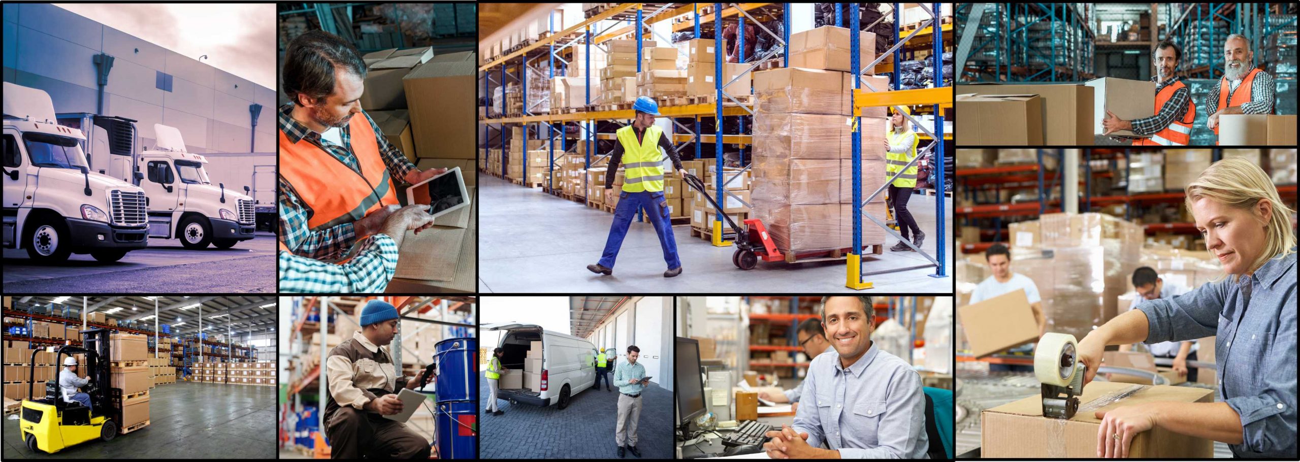 Warehouse Training Management System
